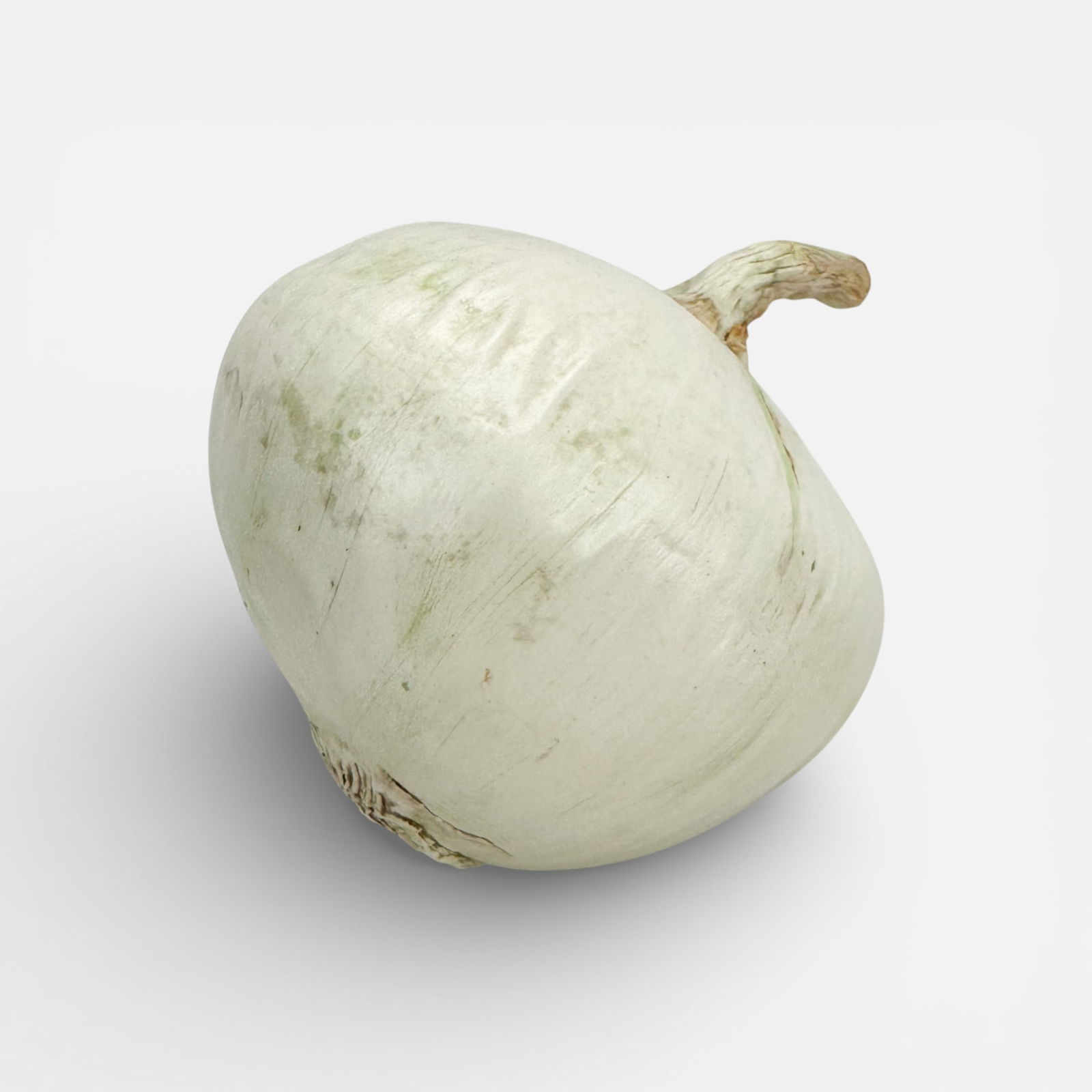 Mary Kirk Kelly Realistic Ceramic White Onion Vegetable Sculpture: Mary Kirk Kelly (American, 1918-2013), signed as shown.For shipping, we highly recommend Donald Camden at UPS Store 4608. Alternatively, reach out to one of our preferred shippers listed at the link b