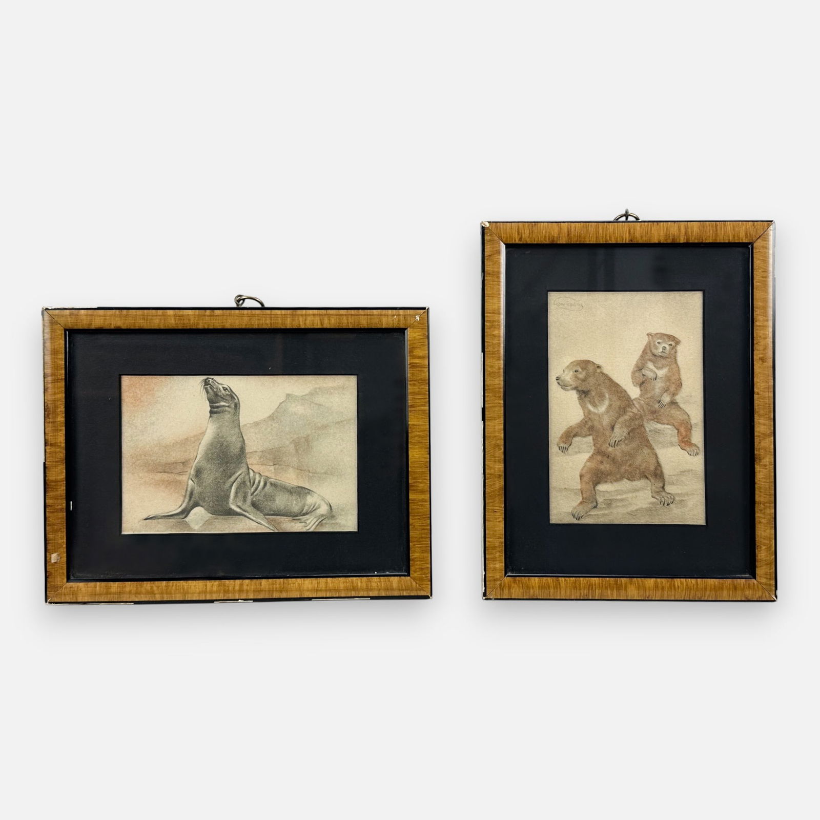 Swildens Sun Bears and Seal Animal Prints Framed: Good, unexamined out of frame.For shipping, we highly recommend Donald Camden at UPS Store 4608. Alternatively, reach out to one of our preferred shippers listed at the link below or elect for LiveShi