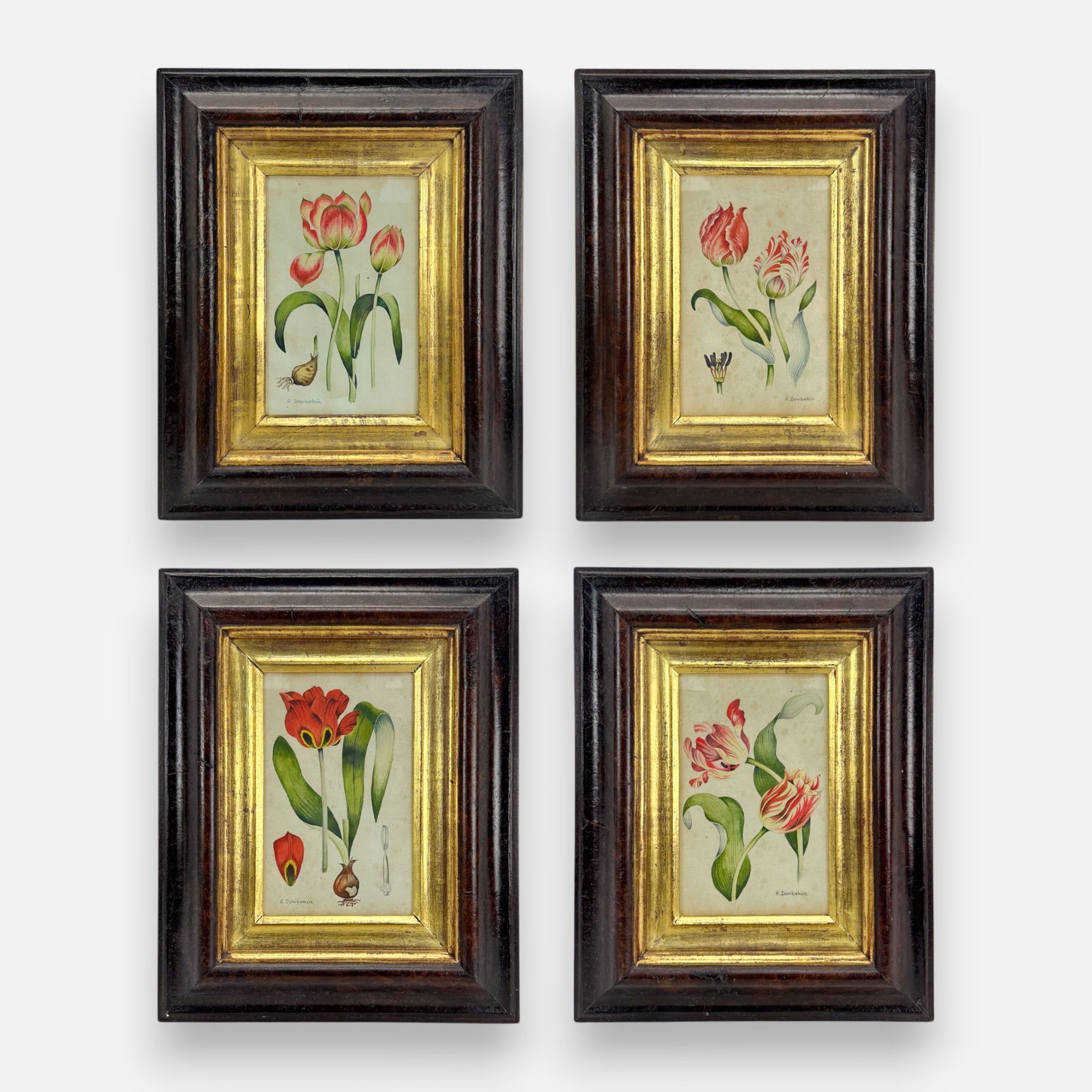 Four R. Dowbekin Antique Botanical Watercolor and Ink Painting Framed (1 of 17)
