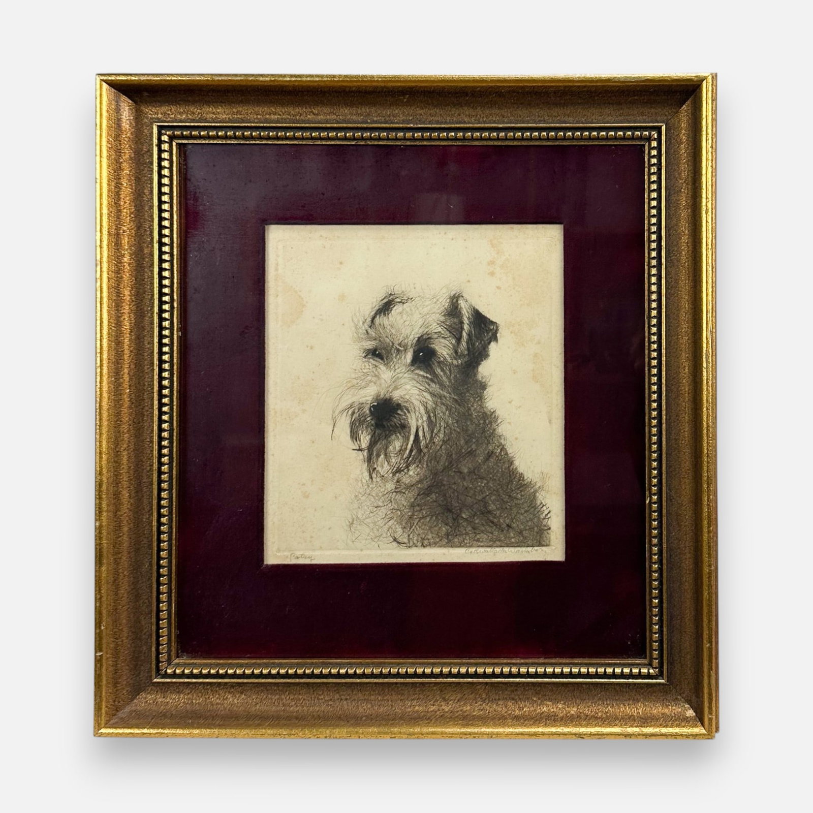 Artist Signed "Patsy" Yorkshire Terrier Etching Print (1 of 7)