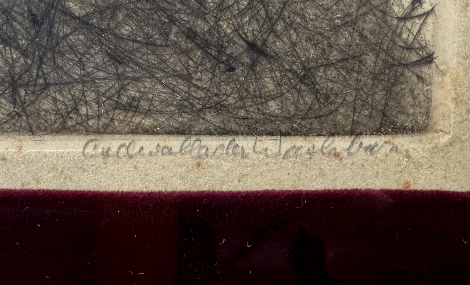 Artist Signed "Patsy" Yorkshire Terrier Etching Print - 4