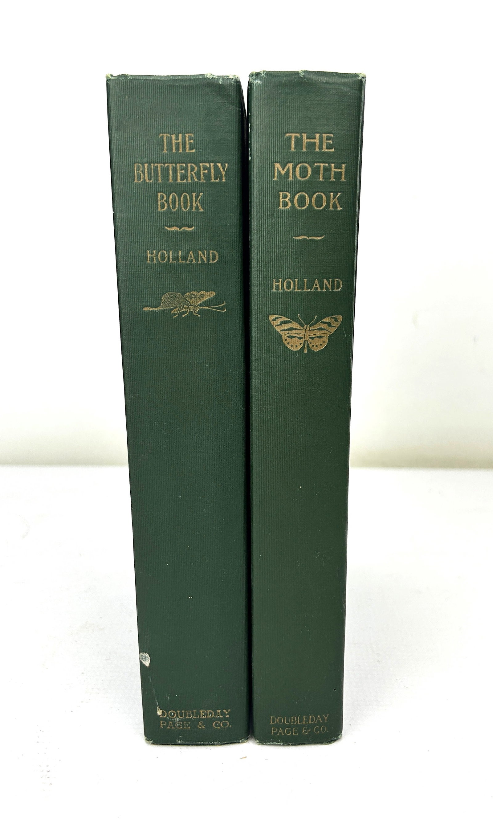 Two First Edition Butterfly and Moth Books by W.H. Holland Illustrated Chromolithographs (1 of 12)