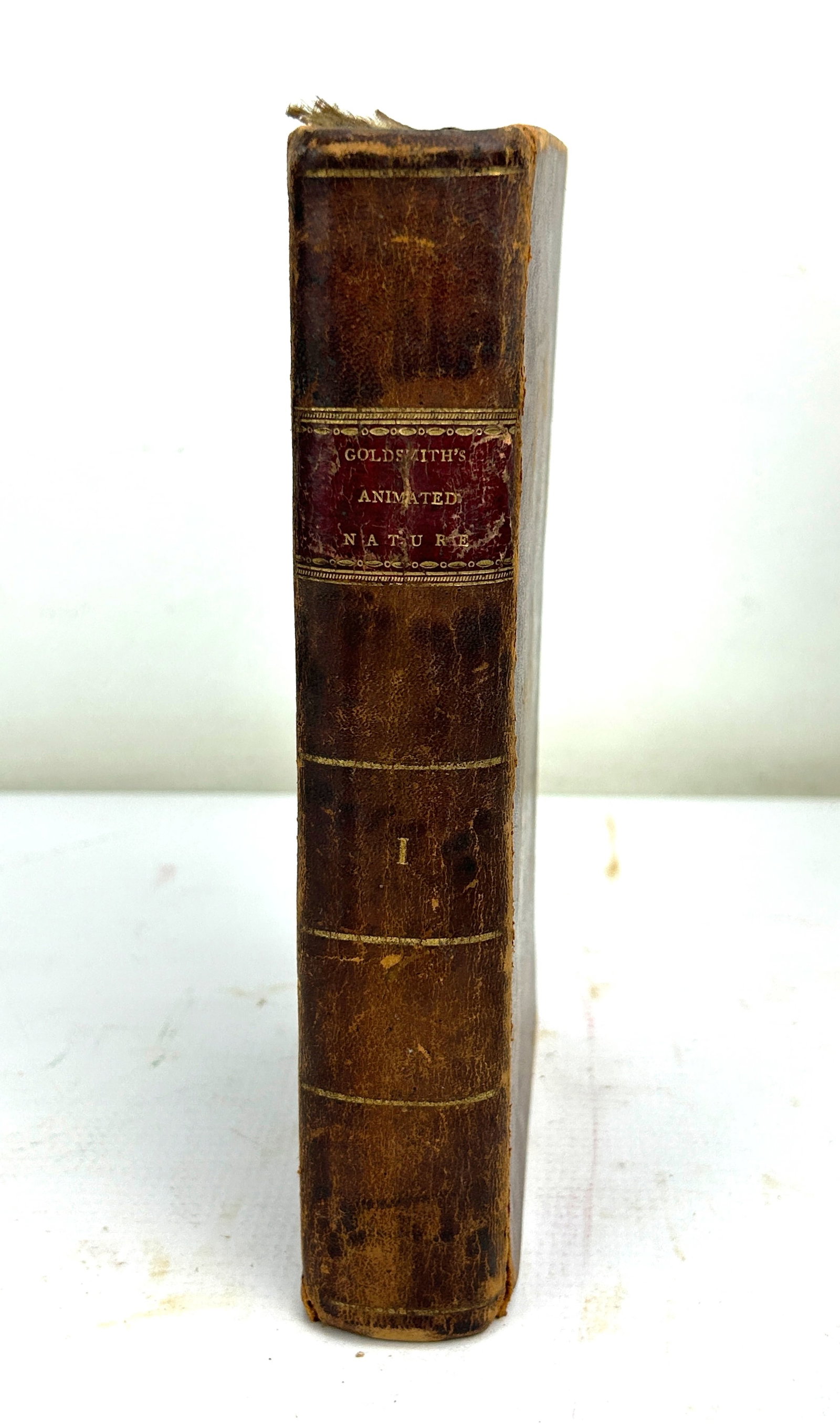 1st Volume History of the Earth and Animated Nature by Oliver Goldsmith Mathew Carey: Philadelphia, 118 Market Street, 1795. Leather-bound gilt-stamped spine. Overall fair to good condition as shown. For shipping, we highly recommend Donald Camden at UPS Store 4608. Alternatively, reac