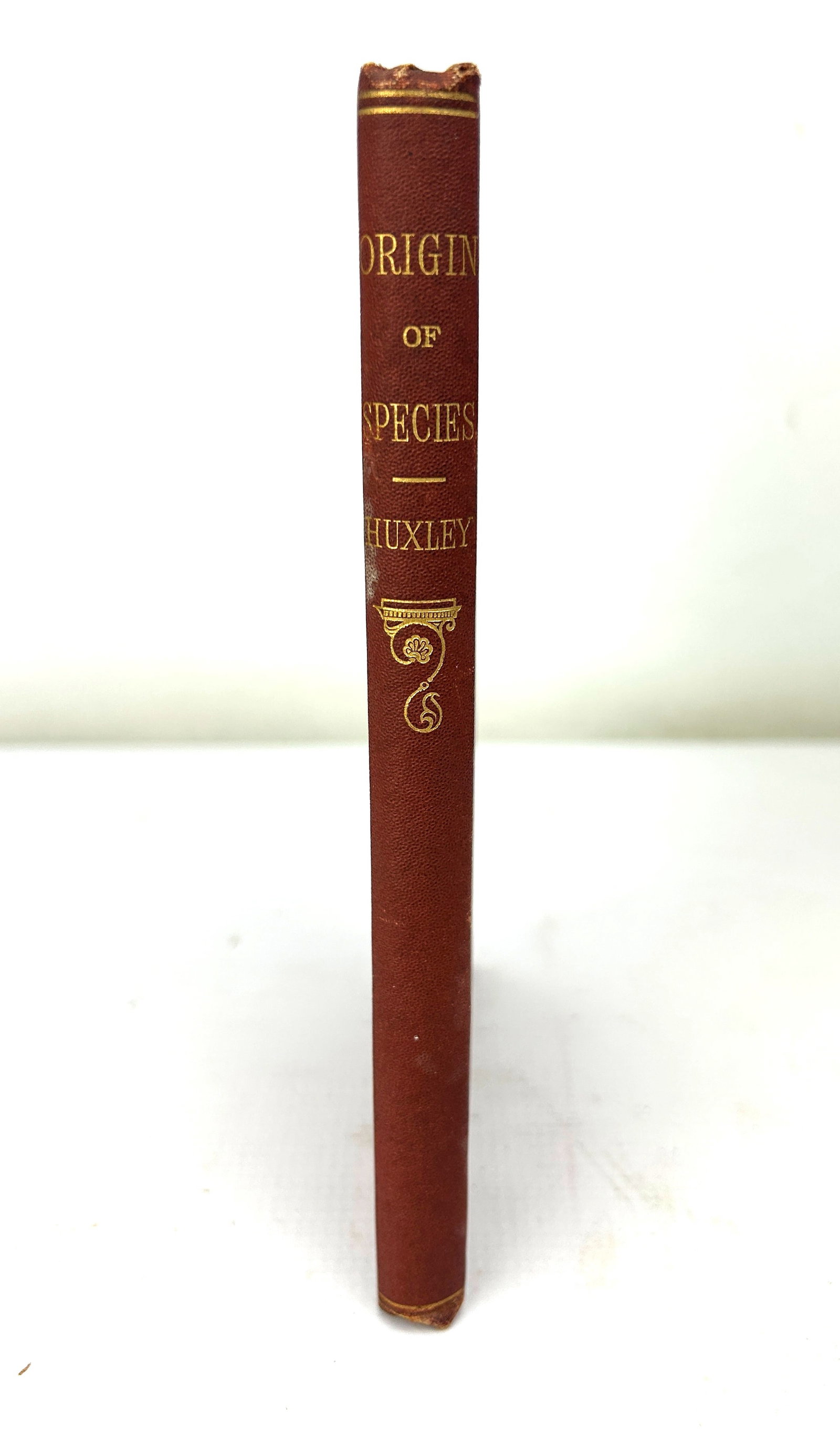 "On the Origin of Species" Antique Book By Thomas H. Huxley 1877 New York, NY: Very good original condition. No dustjacket, cloth boards, Appleton. For shipping, we highly recommend Donald Camden at UPS Store 4608. Alternatively, reach out to one of our preferred shippers listed