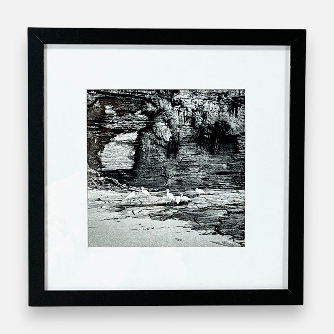 Christian Melgar "The Egrets on the Rocks" Photography: Music: "Dances of the Knights". Approx. sight size 7 1/2" x 7 1/2". Framed, matted, and sealed. Description by the Artist: A sharp moment where the white of the birds creates a rhythmic contrast again