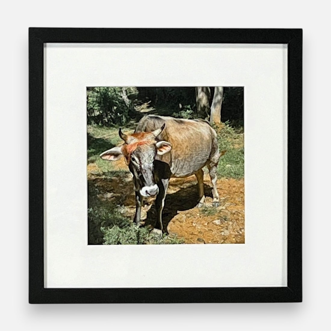 Christian Melgar "Salvadorian Cow" Photography: Music: "Billy the Kid Suite." Approx. sight size 7 1/2" x 7 1/2". Framed, matted, and sealed. Description by the Artist: This is an up-close look at the connection you feel when you really stop to loo