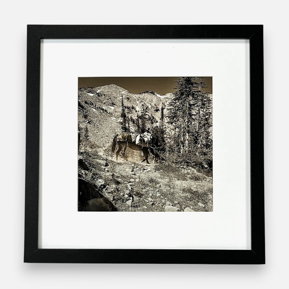 Christian Melgar "The Pack Horse" Photography: Music: "Mississippi Suite." Approx. sight size 7 1/2" x 7 1/2". Framed, matted, and sealed. Description by the Artist: This image captures the story of a horse on the trail, where the dust and hard wo