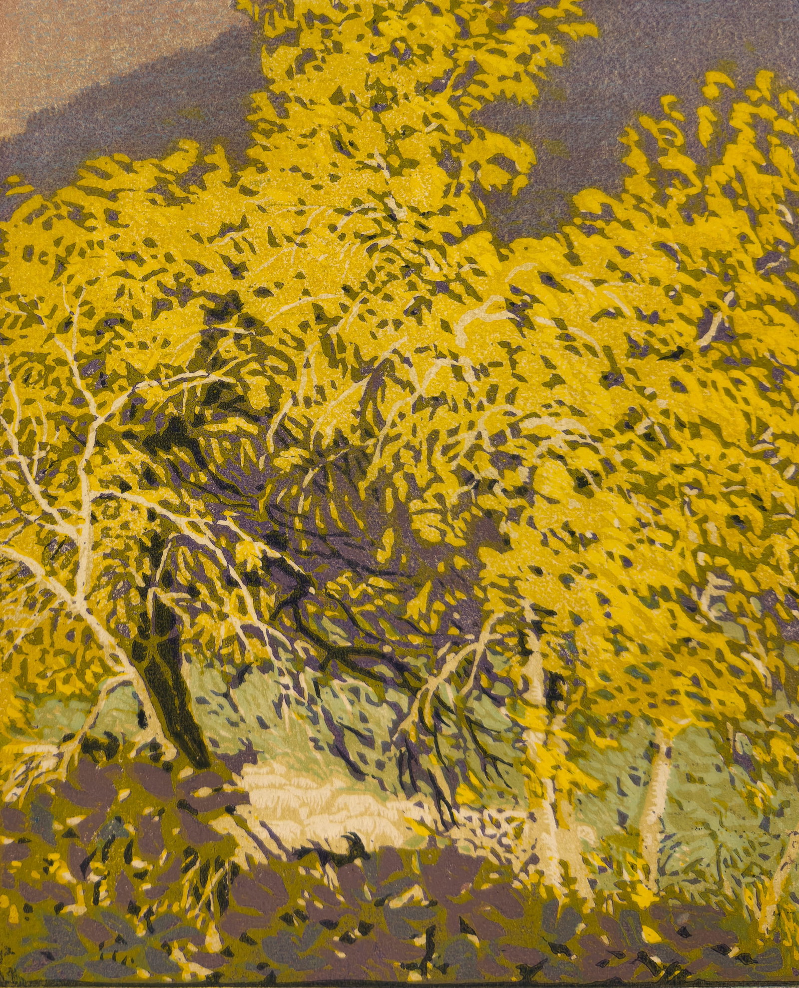 Gustave Baumann "Autumnal Glory" Woodblock Print #45/100 Arts & Crafts Framed - 10