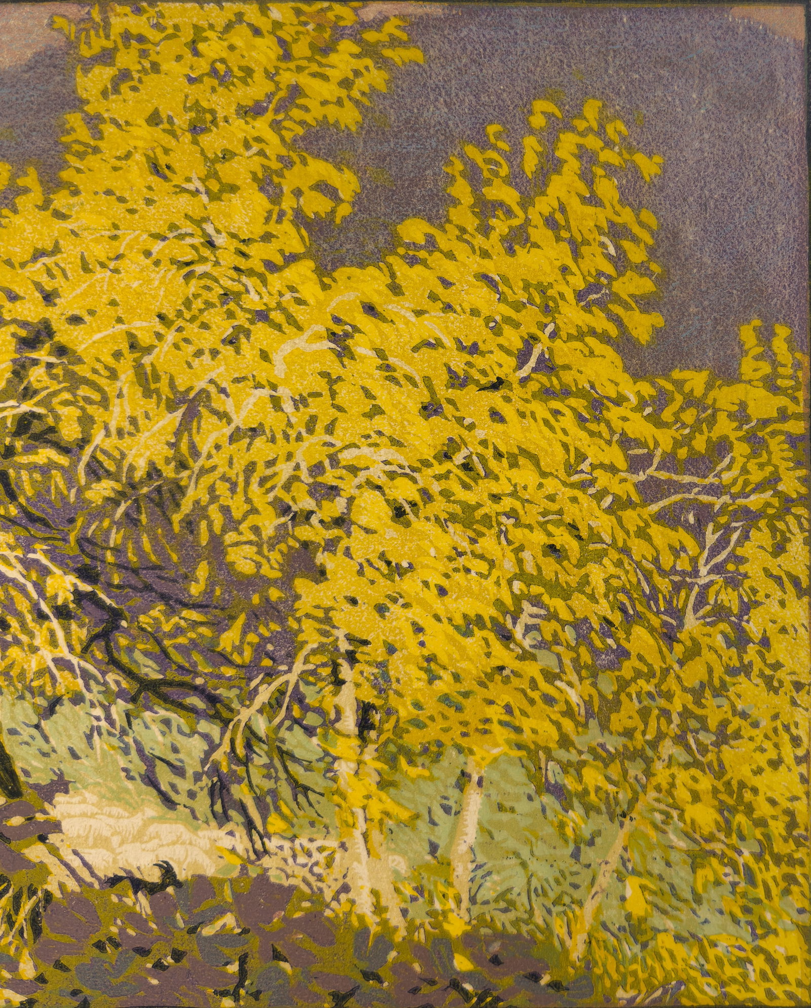 Gustave Baumann "Autumnal Glory" Woodblock Print #45/100 Arts & Crafts Framed - 11