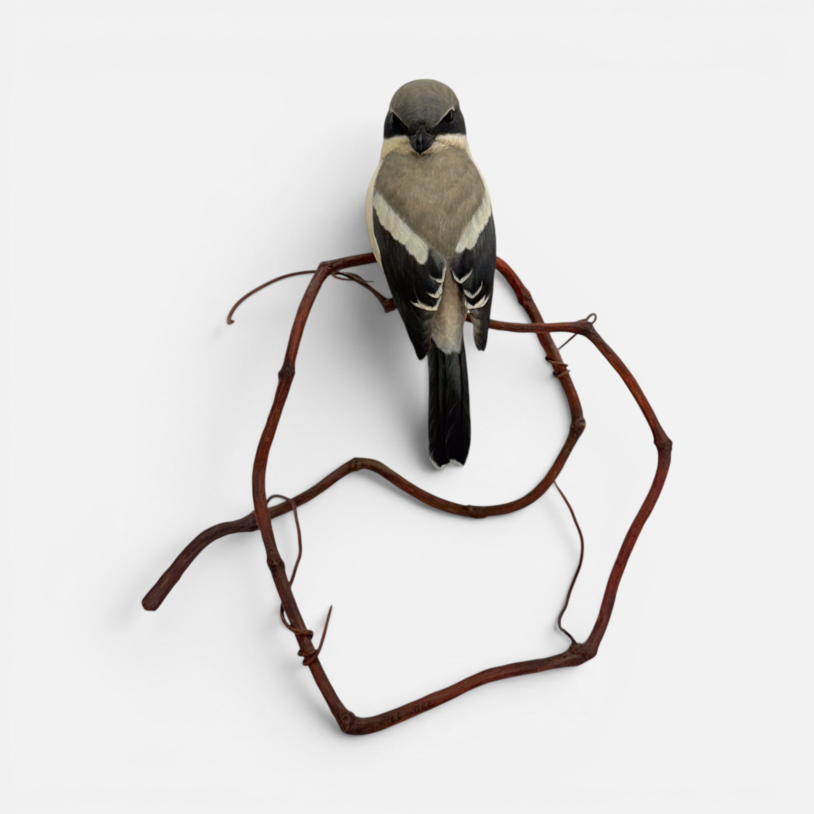 H.L. Artist Signed Realistic Loggerhead Shrike Bird on Branch Sculpture (1 of 13)