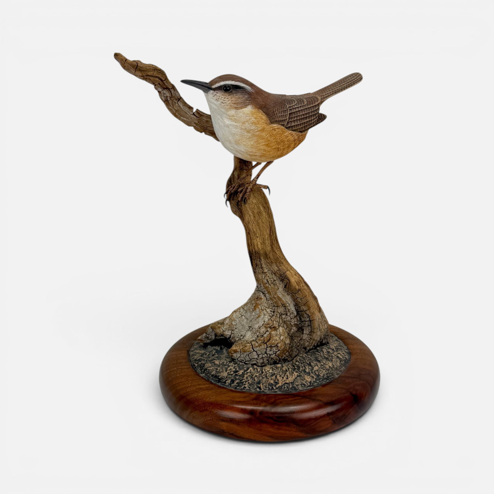 Tom Ahern 2007 Realistic Carolina Wren Carved Wood Bird Resting on Driftwood Sculpture (1 of 12)
