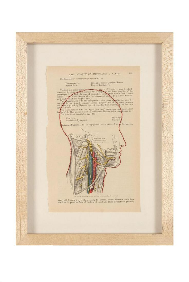 LINDSAY OBERMEYER (AMERICAN, 1966-2020) (1 of 4)