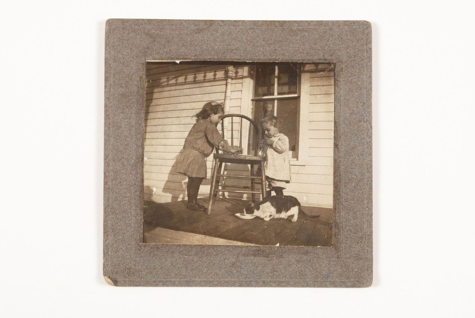 PHOTO OF TWO CHILDREN AND CAT (1 of 4)