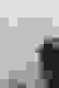 item-95406423=3