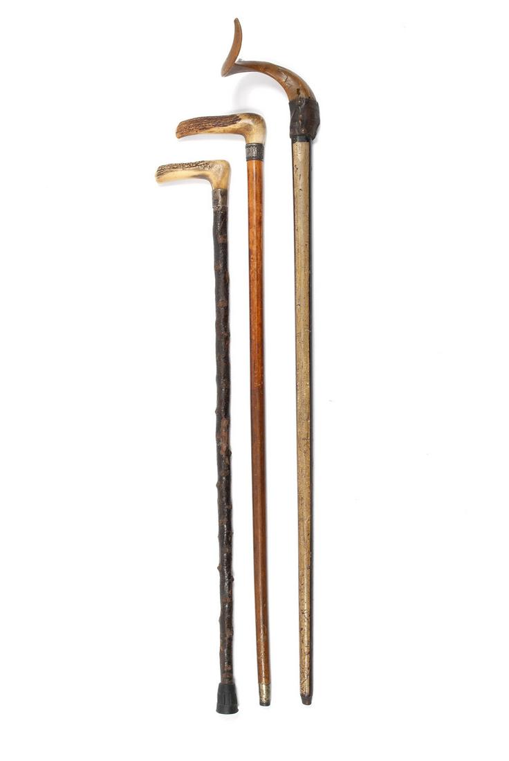 THREE ANIMAL HORN HANDLED CANES (1 of 4)