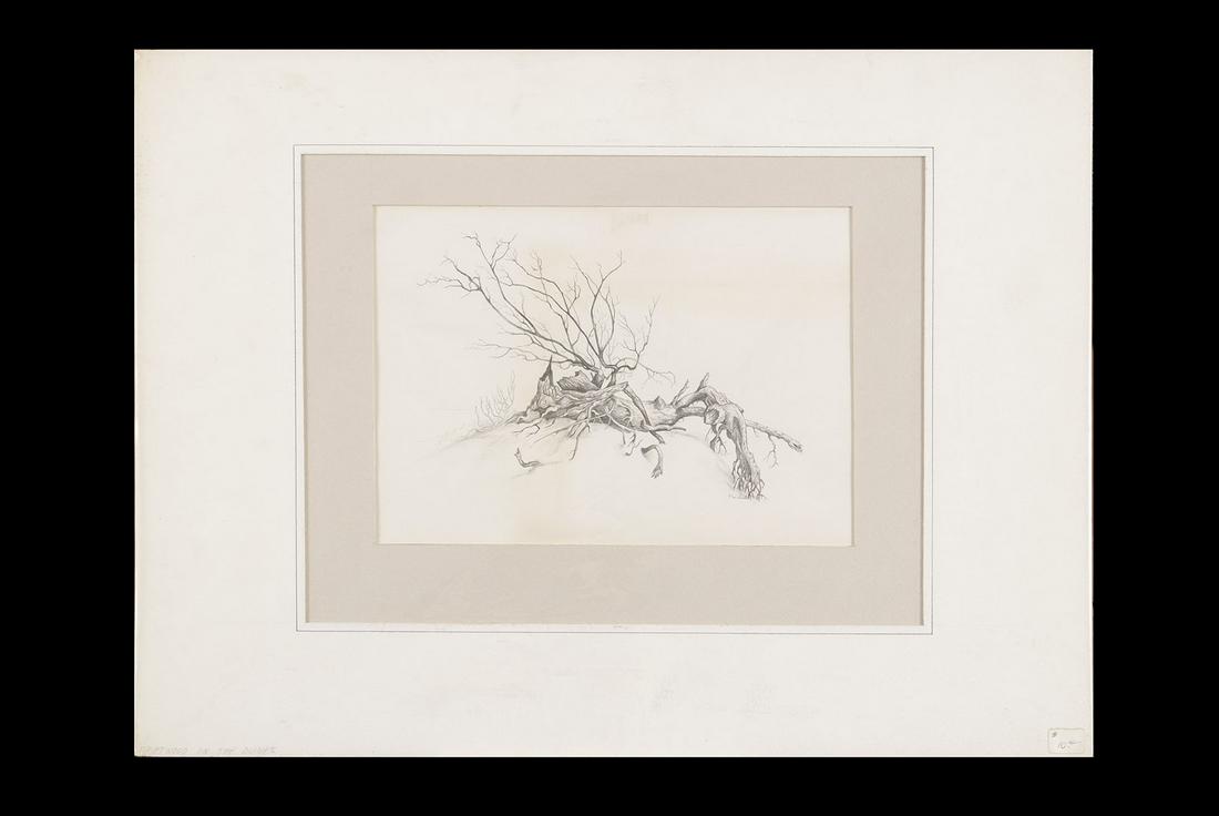 GRAPHITE DRAWING (1 of 4)