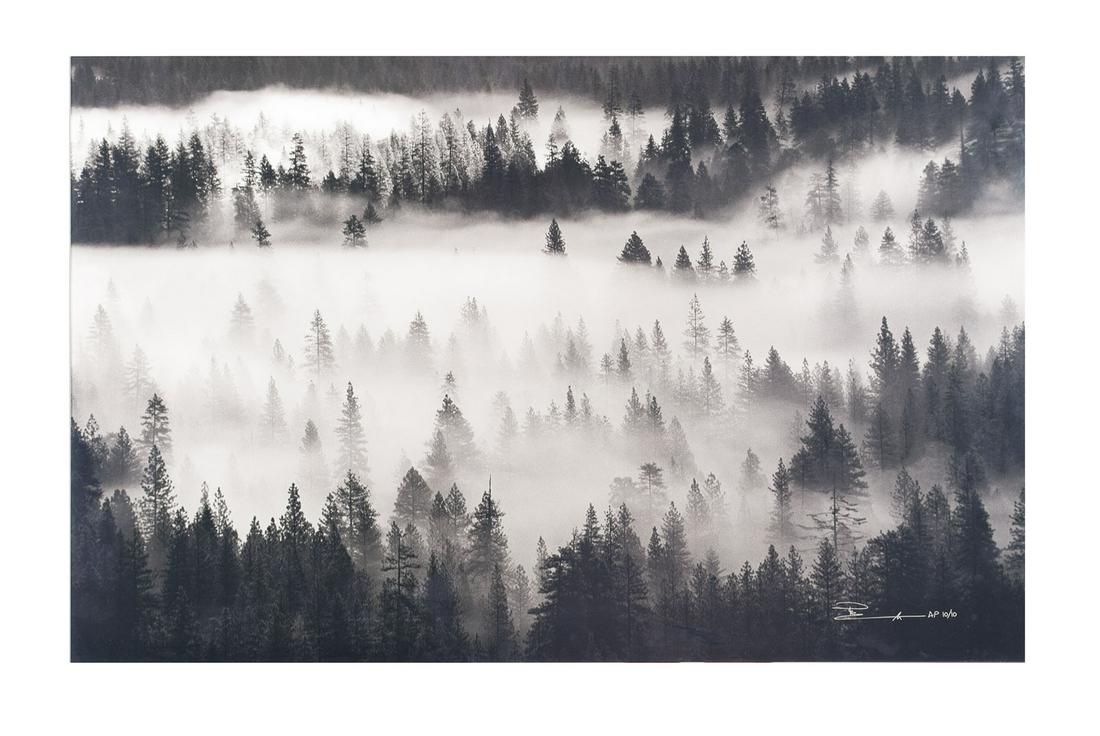 PETER LIK (AUSTRALIAN, B. 1959) (1 of 5)