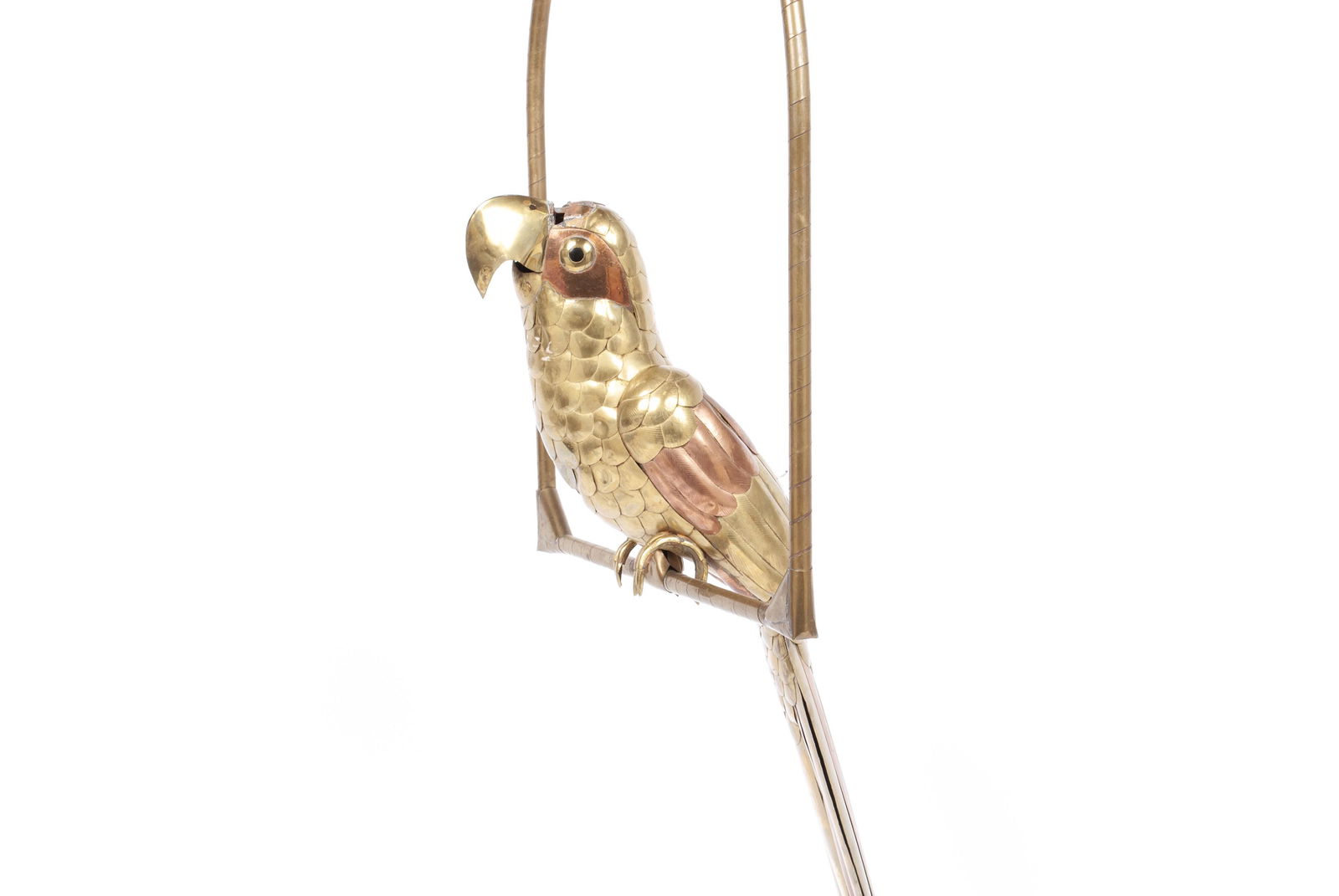 BUSTAMANTE PARROT (1 of 10)