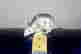 item-121043015=2