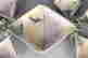 item-121043180=2
