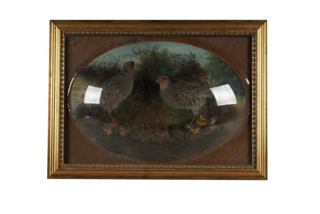 FRAMED SCHWARTZ BUBBLE GLASS WITH TAXIDERMY MOUNTS (1 of 5)