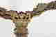 item-121094440=2