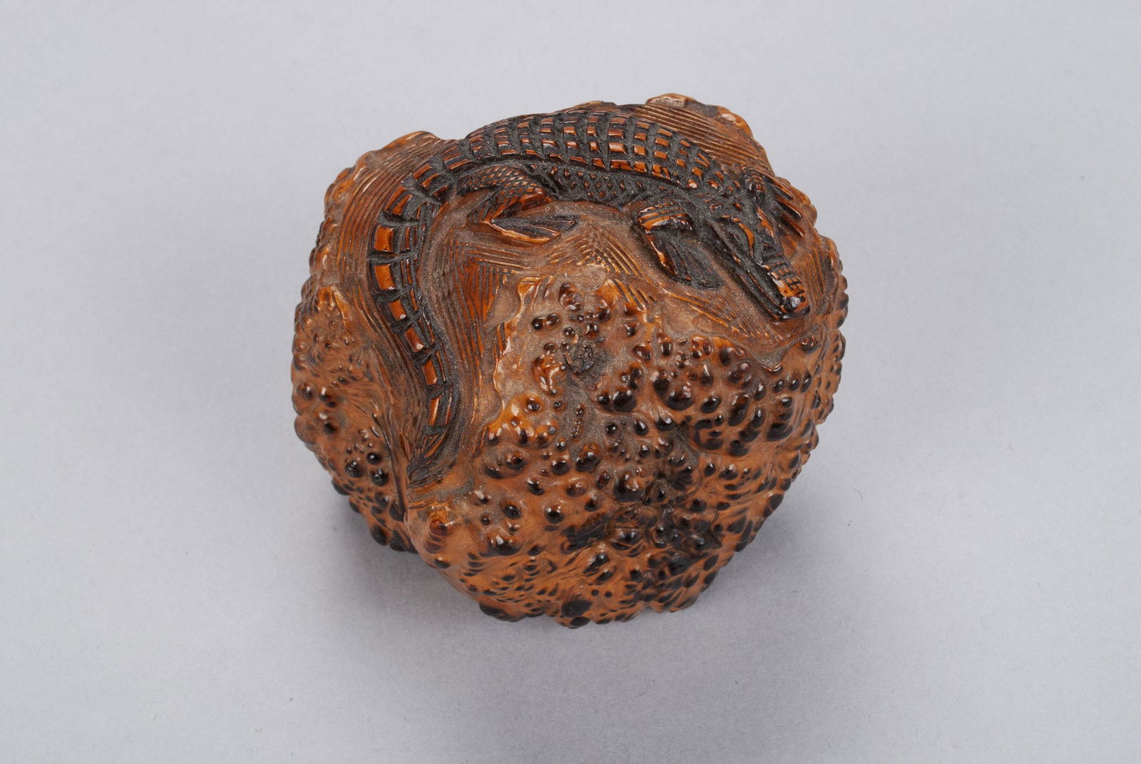 NEW ORLEANS TREE ROOT CARVING OF AN ALLIGATOR (1 of 5)