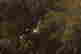 item-129024562=2
