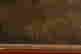 item-129024562=3