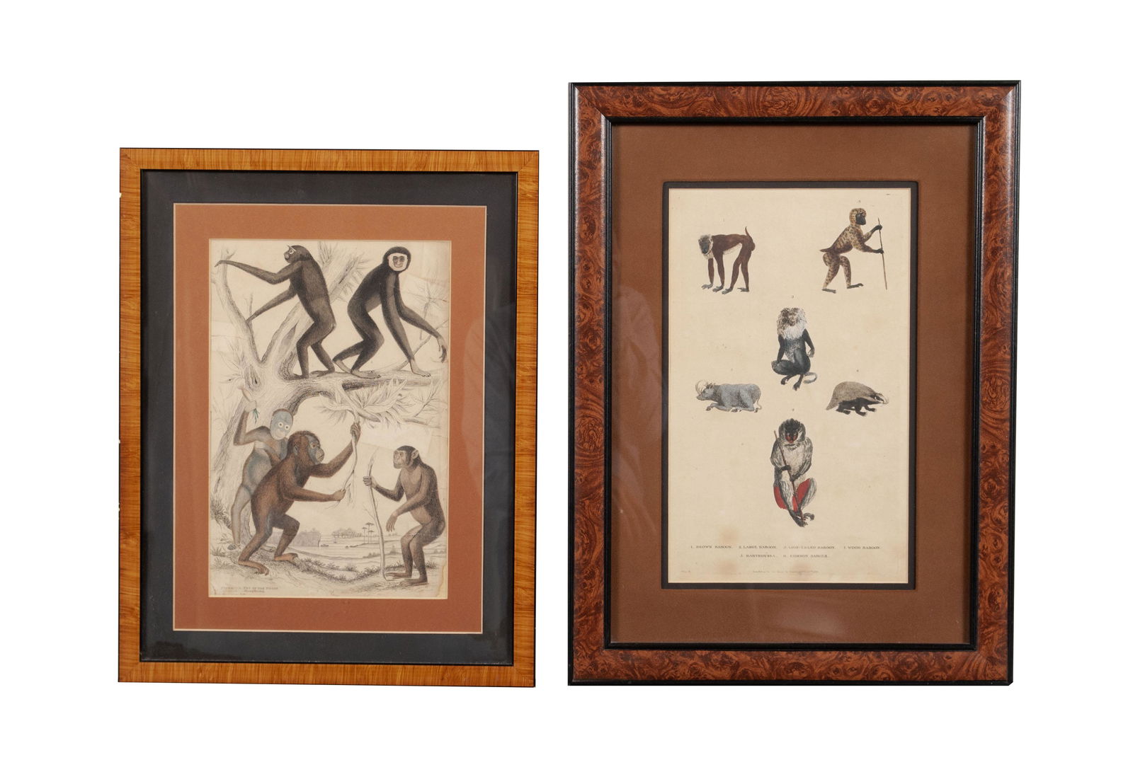 PAIRING OF EARLY PRIMATE ETCHINGS (1 of 6)