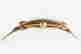item-131155040=3