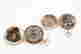 item-131155103=12