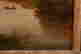 item-131898021=10