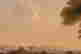 item-131898021=7