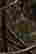 item-131898024=6