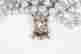 item-131898117=3