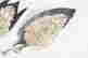 item-131898159=7