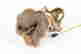item-131898181=11
