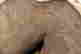 item-131898181=12
