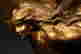 item-131898181=14