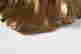 item-131898181=2