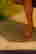 item-131898249=5