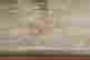 item-131898318=7