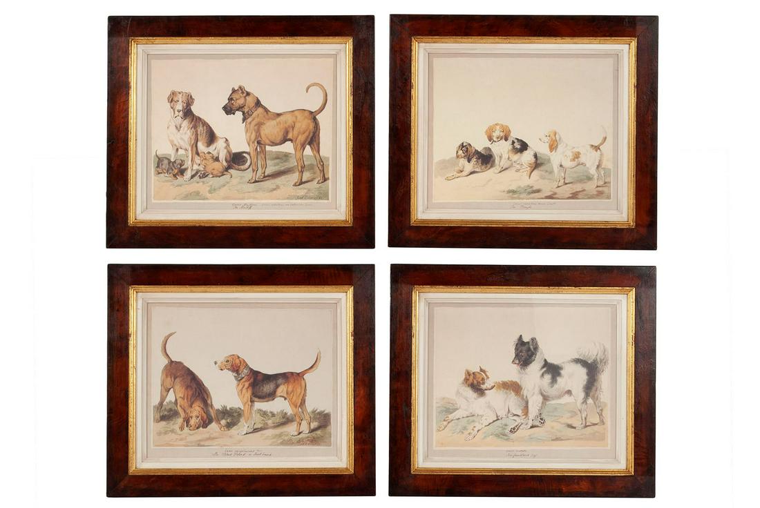 CANINE LITHOGRAPHS AFTER SYDENHAM EDWARDS (BRITISH, 1768-1819) (1 of 6)