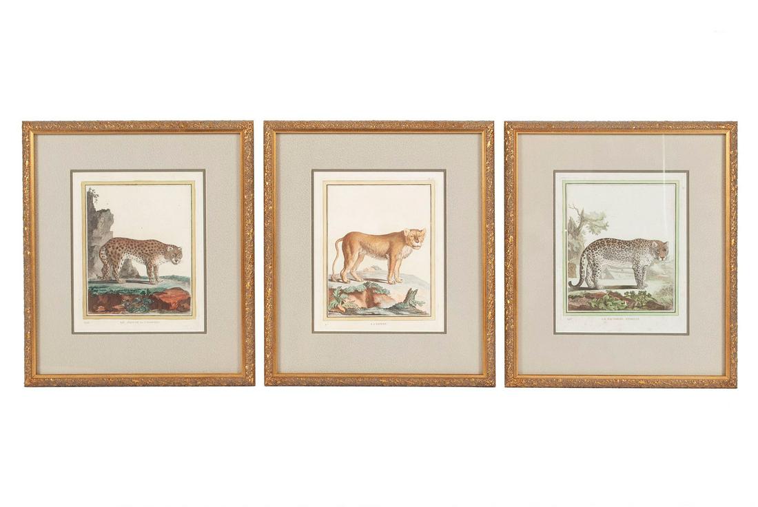 THREE ENGRAVINGS BY COMTE DE BUFFON (FRENCH, 1707-1788) (1 of 9)