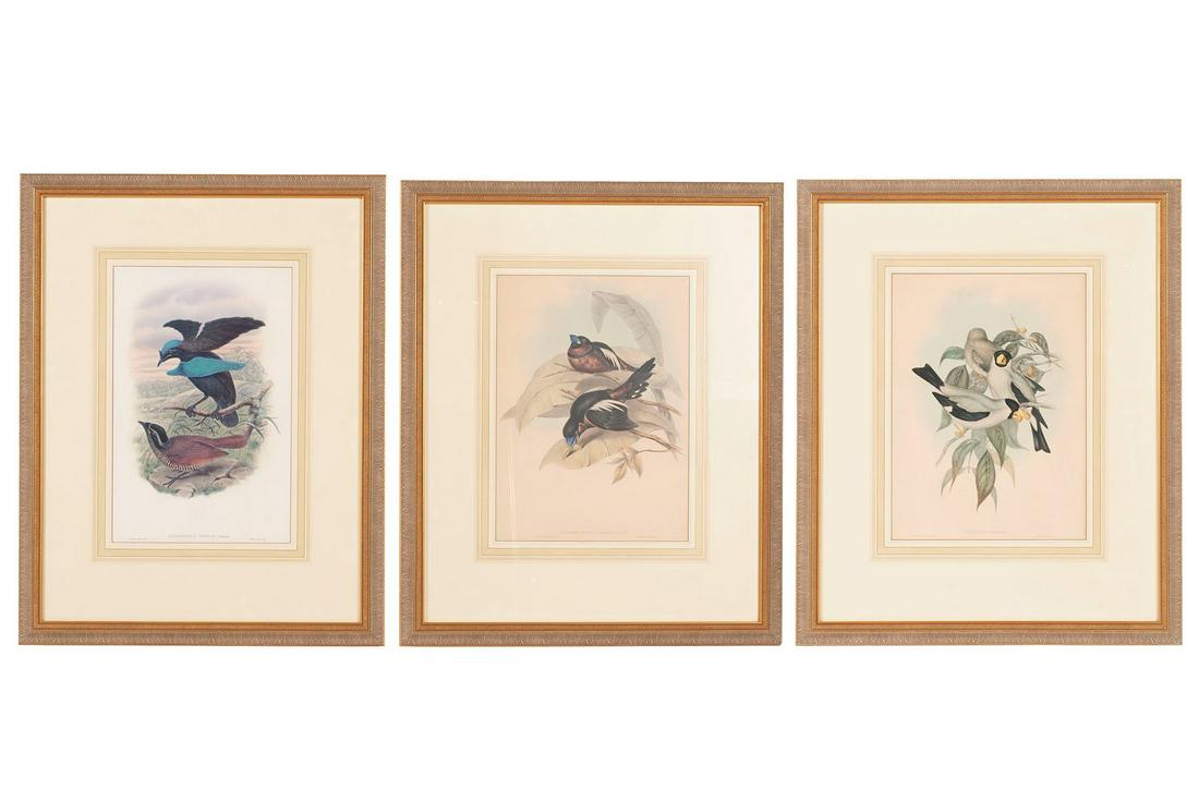 TRIO OF PRINTS AFTER JOHN GOULD (1804-1881) & WILLIAM HART (1830-1908) (1 of 7)
