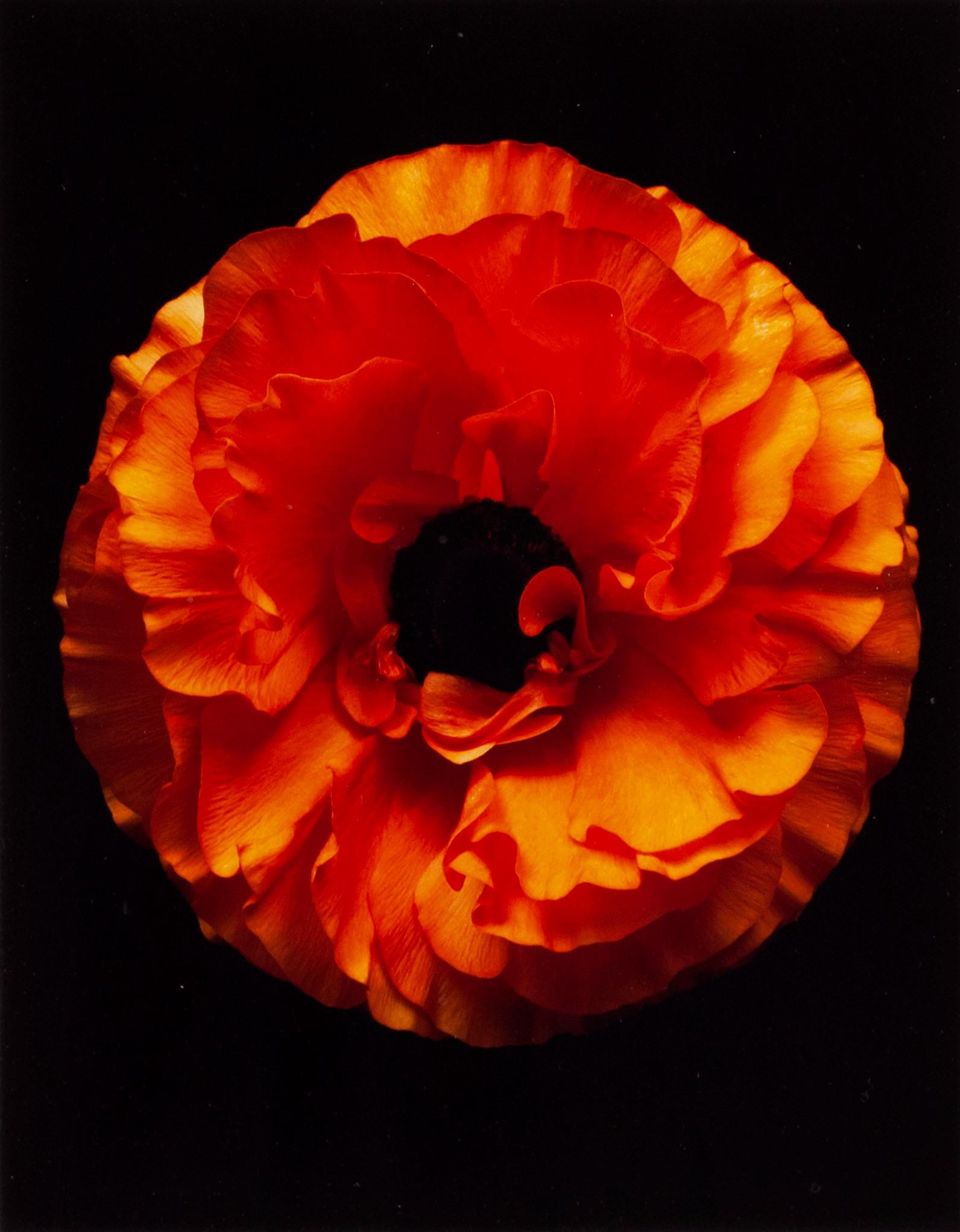 CHRISTOPHER BEANE (AMERICAN (ST. LOUIS), 20TH/21ST C.) (1 of 2)