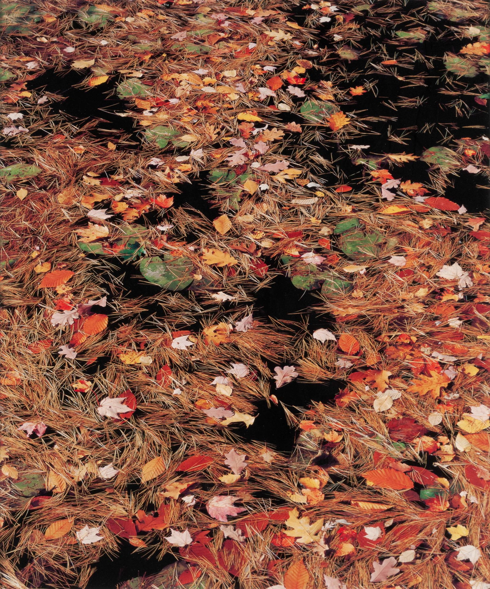 JOHN WAWRZONEK (AMERICAN, 20TH C.) (1 of 5)