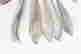 item-137281073=3