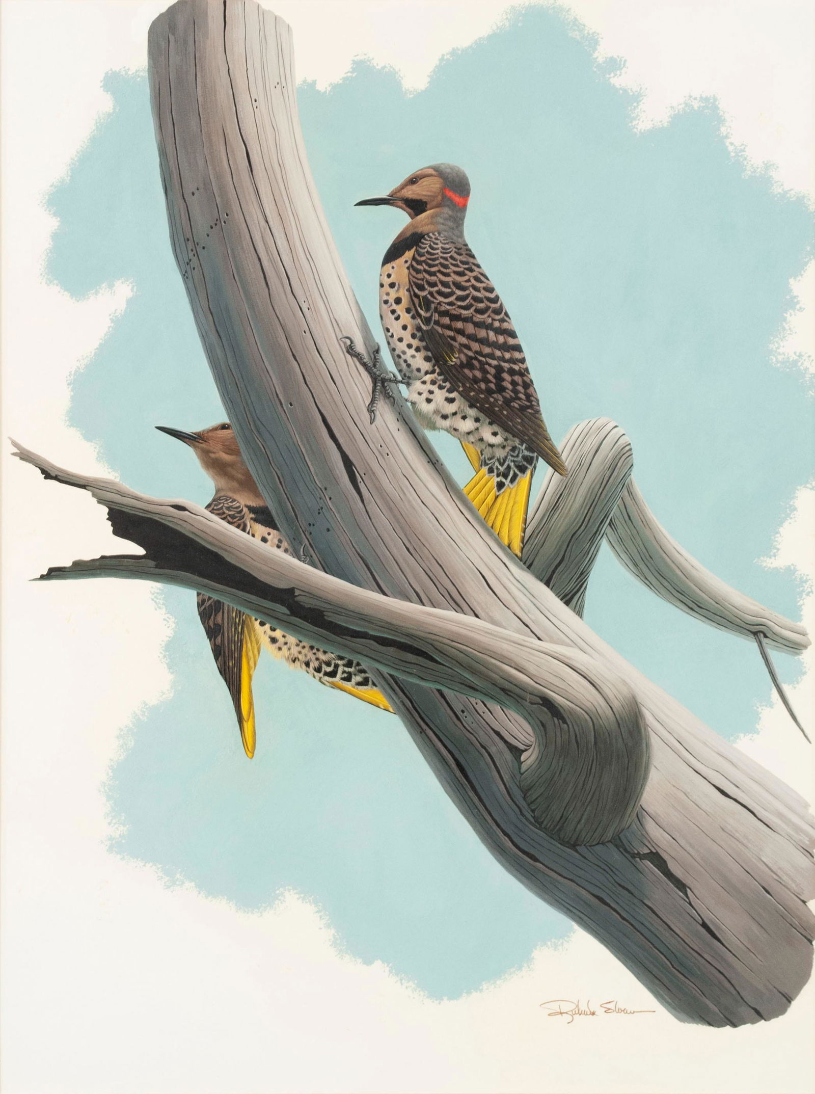 RICHARD SLOAN (AMERICAN, 1935-2007): Richard SloanAmerican, 1935-2007WoodpeckersOil on boardSigned lower right. Two woodpeckers perched on a branch against a soft blue sky. Matted behind glass, gilt frame.Sight: 28 1/4 x 18 3/4 in. (71.7